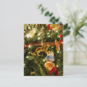 クリスマスツリーを見上げて シーズンポストカード (スタンド正面)