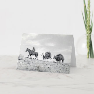 クリスマスツリーを詰めること シーズンカード