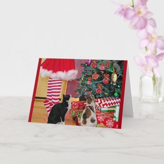 クリスマスツリーを飾る カード (蘭)