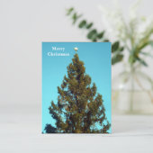 クリスマスツリーイントラファルガースクエアホリデーポストカー シーズンポストカード (スタンド正面)