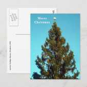 クリスマスツリーイントラファルガースクエアホリデーポストカー シーズンポストカード (正面/裏面)