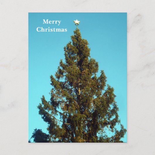 クリスマスツリーイントラファルガースクエアホリデーポストカー シーズンポストカード (正面)