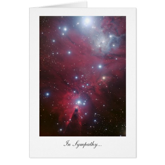 クリスマスツリークラスター – 悔やみや弔慰 (正面)