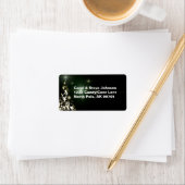 クリスマスツリーナイトスカイミッドナイトグリーン ラベル (インサイチュ)