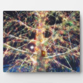 クリスマスツリーハウスプラーク フォトプラーク (正面)