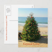 クリスマスツリーホリデーポストカード シーズンポストカード (正面/裏面)