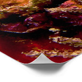 クリスマスツリーワームSpirobranchus Giganteus ポスター (角)