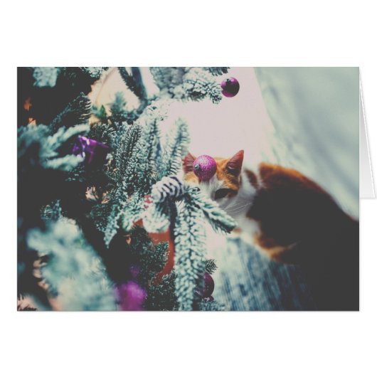 クリスマスツリー下の子猫 (正面横)