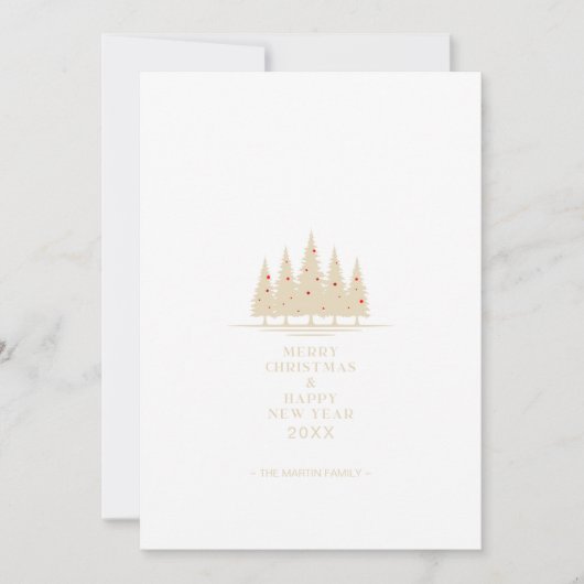 クリスマスツリー伝統的とフォトファエレガントミリ (正面)