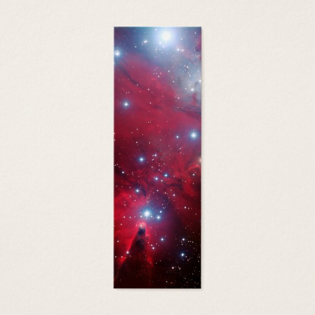 クリスマスツリー星団 (正面)