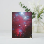 クリスマスツリー星団 シーズンポストカード (スタンド正面)