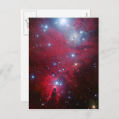 クリスマスツリー星団 シーズンポストカード (正面/裏面)