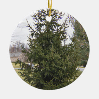 クリスマスツリー オーナメント
