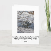 クリスマスツリー シーズンカード (裏面)