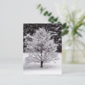 クリスマスツリー シーズンポストカード (スタンド正面)