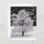 クリスマスツリー シーズンポストカード (正面/裏面)