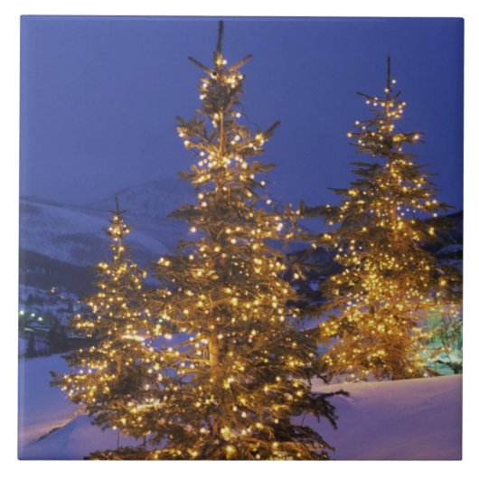 クリスマスツリー、パークシティ、ワサッチ山脈、2 タイル (正面)