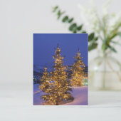 クリスマスツリー，パークシティ，ワッシュ山脈， 2 シーズンポストカード (スタンド正面)