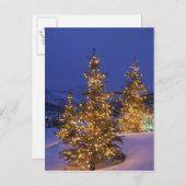 クリスマスツリー，パークシティ，ワッシュ山脈， 2 シーズンポストカード (正面/裏面)