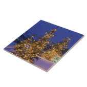 クリスマスツリー，パークシティ，ワッシュ山脈， 2 タイル (側面)