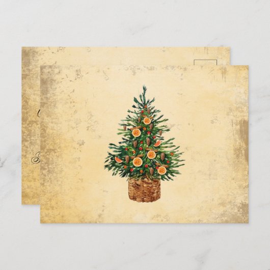 クリスマスツリー 国 伝統 シンプル グリーティング シーズンポストカード (正面/裏面)