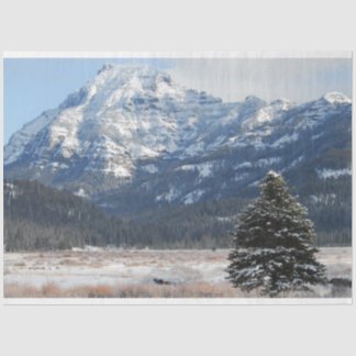 クリスマスツリー 薄葉紙