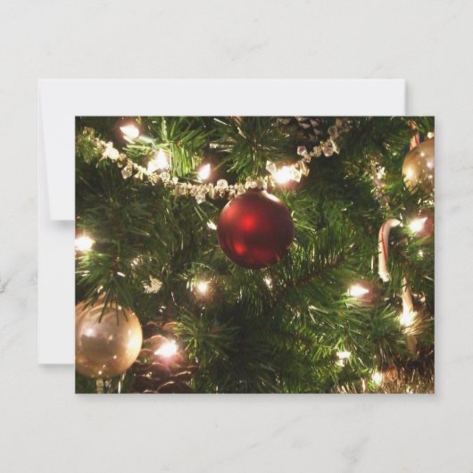 クリスマスツリーIホリデーかわいらしグリーンと赤 カード (正面)