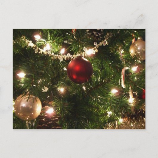 クリスマスツリーIホリデーかわいらしグリーンと赤 シーズンポストカード (正面)