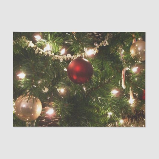 クリスマスツリーIホリデーかわいらしグリーンと赤 薄葉紙 (正面)