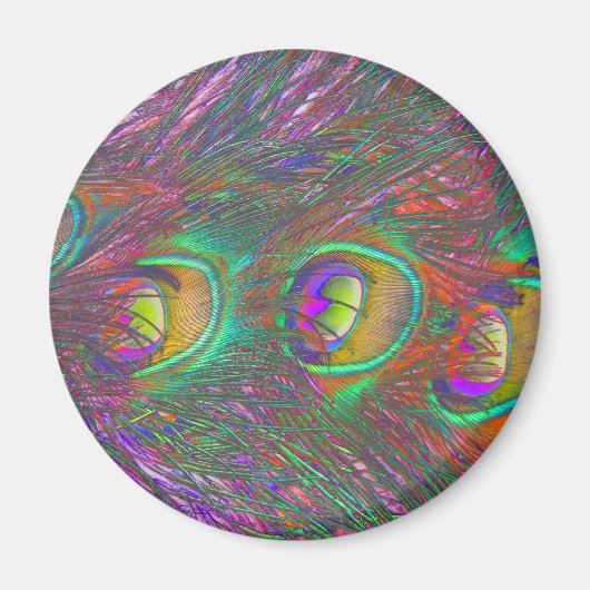 クリスマスティンセルピーコックフェザーマグネット マグネット (正面)