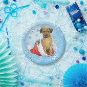 クリスマステ縁どリア ペーパープレート (パーティー)