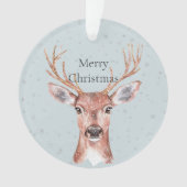 クリスマスディアスノーズ オーナメント (正面)
