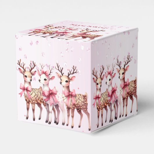 クリスマスディアホリデーギフトボックス フェイバーボックス (正面サイド)
