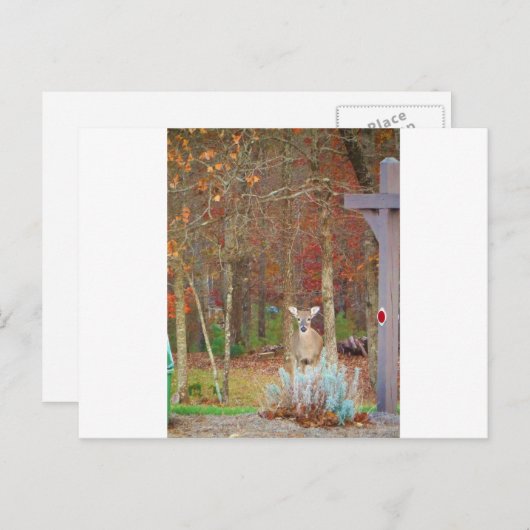 クリスマスディアー シーズンポストカード (正面/裏面)