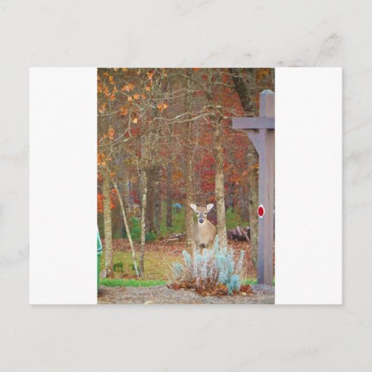 クリスマスディアー シーズンポストカード (正面)