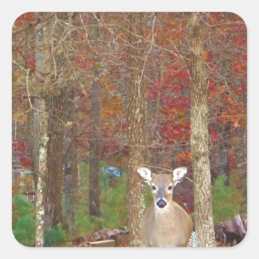 クリスマスディアー スクエアシール (正面)