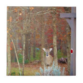 クリスマスディアー タイル (正面)