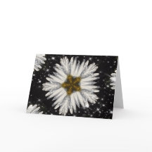 クリスマスデイジー星