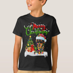 クリスマスデコレーションSanta Dachshund Dog Christmas Tシャツ