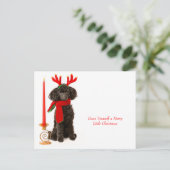 クリスマストイプードルドッグ シーズンポストカード (スタンド正面)