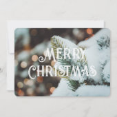 クリスマストウヒの枝と冬灯 カード (正面)