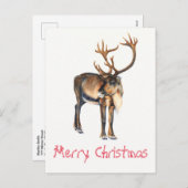 クリスマストナカイ絵を描アの手カリブーの水色 シーズンポストカード (正面/裏面)