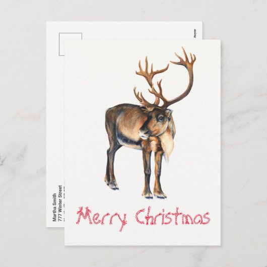 クリスマストナカイ絵を描アの手カリブーの水色 シーズンポストカード (正面/裏面)