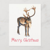クリスマストナカイ絵を描アの手カリブーの水色 シーズンポストカード (正面)