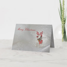 クリスマストナカードバイジャンツ シーズンカード