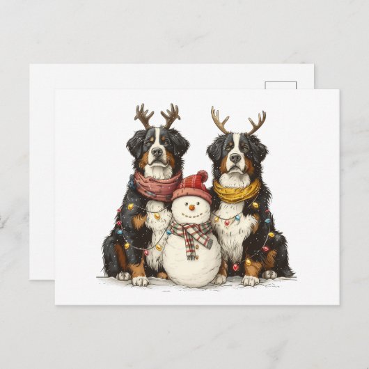 クリスマストナディアベルネーズマウンテンドッグ シーズンポストカード (正面/裏面)