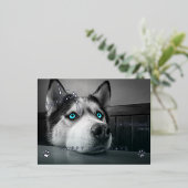 クリスマストリートを待つカスタムDog Photo 箔シーズンポストカード (立ち正面)