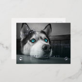 クリスマストリートを待つカスタムDog Photo 箔シーズンポストカード (正面/裏面)