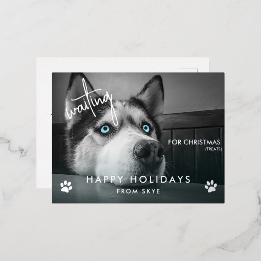 クリスマストリートを待つカスタムDog Photo 箔シーズンポストカード (正面/裏面)