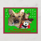 クリスマスドイツの羊飼いとトイのトイ シーズンポストカード (正面)